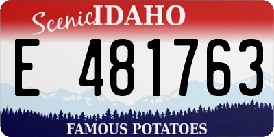 ID license plate E481763