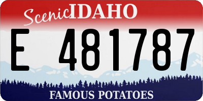 ID license plate E481787