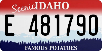 ID license plate E481790