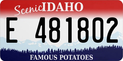ID license plate E481802