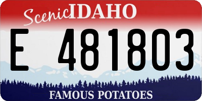 ID license plate E481803