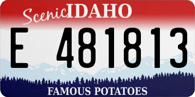 ID license plate E481813