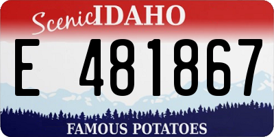 ID license plate E481867