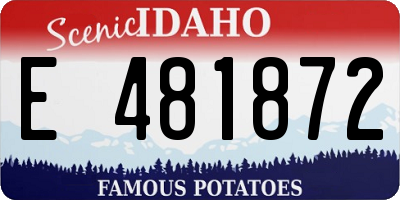 ID license plate E481872