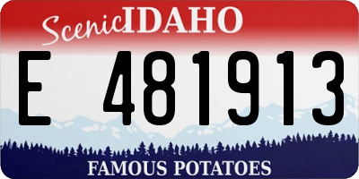 ID license plate E481913