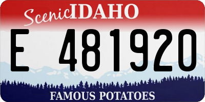 ID license plate E481920
