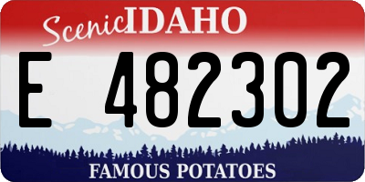 ID license plate E482302