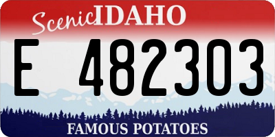 ID license plate E482303