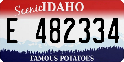 ID license plate E482334