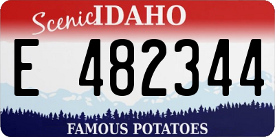 ID license plate E482344
