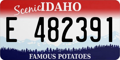 ID license plate E482391