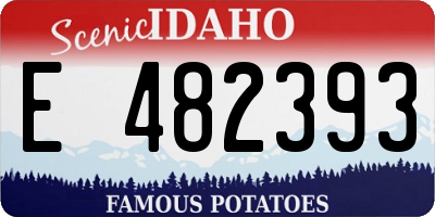 ID license plate E482393