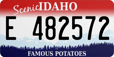 ID license plate E482572