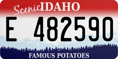ID license plate E482590
