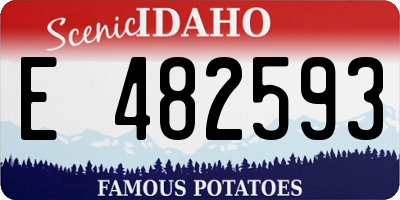 ID license plate E482593