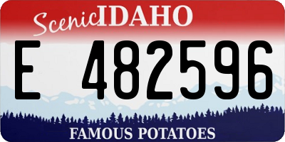 ID license plate E482596