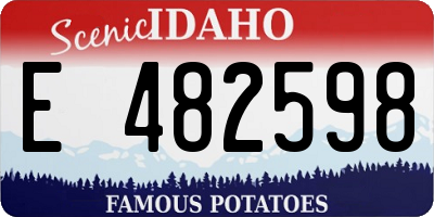 ID license plate E482598