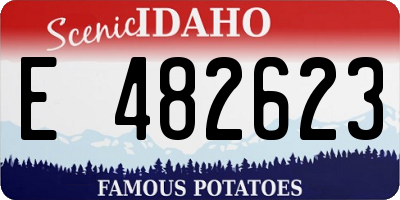 ID license plate E482623