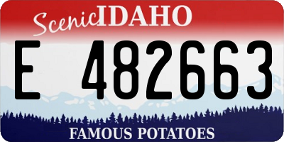 ID license plate E482663