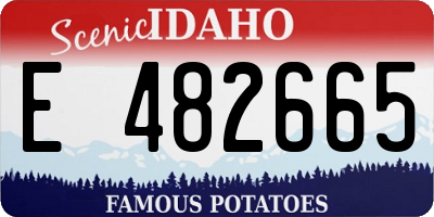 ID license plate E482665