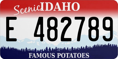 ID license plate E482789