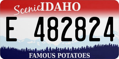 ID license plate E482824