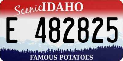 ID license plate E482825