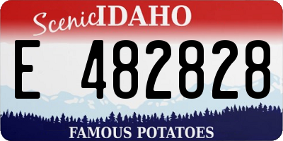 ID license plate E482828