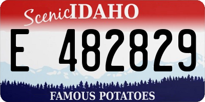 ID license plate E482829