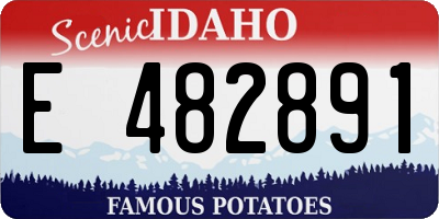ID license plate E482891