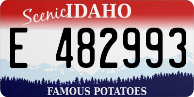ID license plate E482993