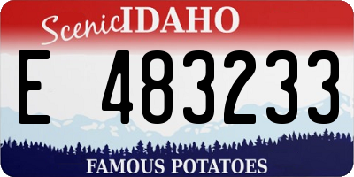 ID license plate E483233