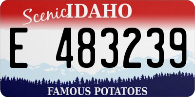 ID license plate E483239