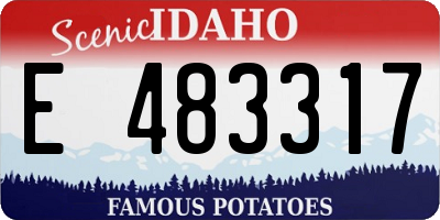 ID license plate E483317