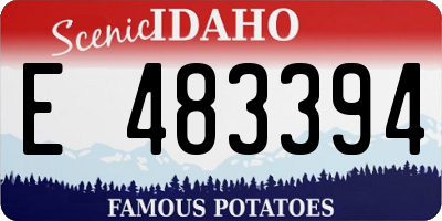 ID license plate E483394