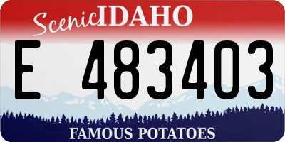 ID license plate E483403