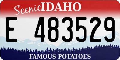 ID license plate E483529