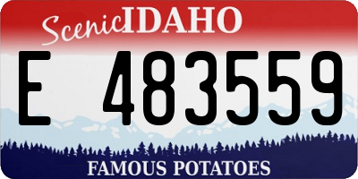 ID license plate E483559