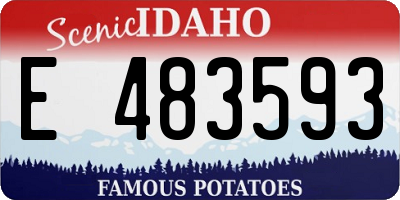 ID license plate E483593