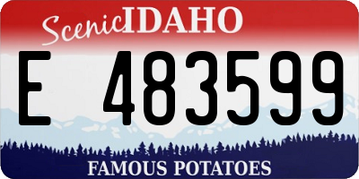 ID license plate E483599
