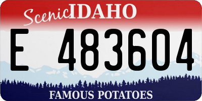 ID license plate E483604