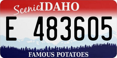ID license plate E483605
