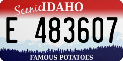 ID license plate E483607
