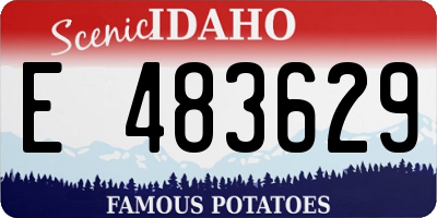 ID license plate E483629