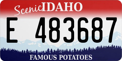 ID license plate E483687