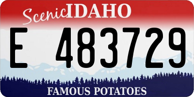 ID license plate E483729
