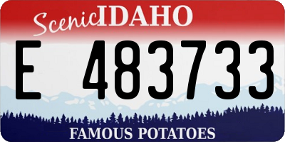 ID license plate E483733