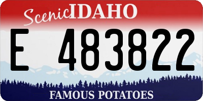 ID license plate E483822