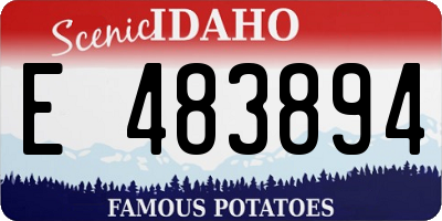ID license plate E483894