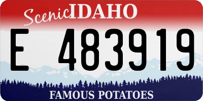 ID license plate E483919